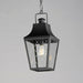 Maxim 30369 Storybook 1-lt 10" Outdoor Pendant