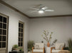 Kichler 310075 Tide 52" Ceiling Fan with LED Light Kit