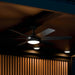 Kichler 310260 Mint 60" Ceiling Fan with LED Light Kit - Satin Black
