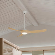 Kichler 310560 Mylo 60" Ceiling Fan with LED Light Kit