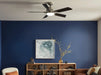 Kichler 330057 Guardian 54" Ceiling Fan with LED Light Kit