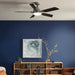 Kichler 330057 Guardian 54" Ceiling Fan with LED Light Kit