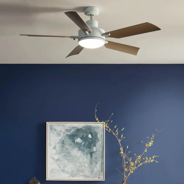 Kichler 330057 Guardian 54" Ceiling Fan with LED Light Kit