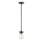 Millennium 3811 Taos 1-lt 5" Mini Pendant