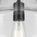 Kichler 42046 Everly 1-lt 14" Pendant