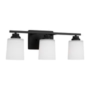 Generation 4420903 Vinton 3-lt 21" Wall/Bath Light