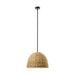 Kichler 44399 Raffiana 1-lt 18" Pendant