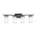 Kichler 45498 Crosby 4-lt 31" Vanity Light-Black