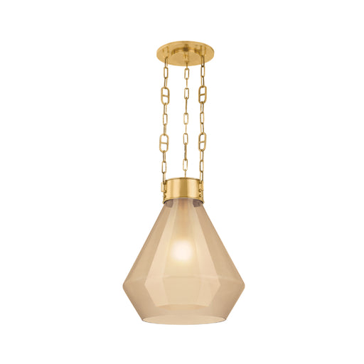 Corbett 466-19 Tragus 1-lt 22" Pendant