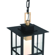 Eurofase 47388 Greyson 1-lt 16" Tall LED Outdoor Pendant