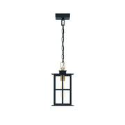 Eurofase 47388 Greyson 1-lt 16" Tall LED Outdoor Pendant