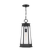Savoy House 5-208 Payne 1-lt 10" Outdoor Hanging Lantern