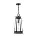 Savoy House 5-208 Payne 1-lt 10" Outdoor Hanging Lantern