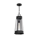 Savoy House 5-208 Payne 1-lt 10" Outdoor Hanging Lantern