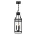 Savoy House 5-608 Emery 3-lt 8" Outdoor Hanging Lantern