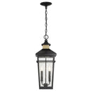 Savoy House 5-717 Kingsley 2-lt 9" Outdoor Hanging Lantern