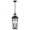 Savoy House 5-717 Kingsley 2-lt 9" Outdoor Hanging Lantern