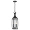 Savoy House 5-763 Montpelier 3-lt 8" Outdoor Hanging Lantern