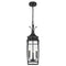 Savoy House 5-763 Montpelier 3-lt 8" Outdoor Hanging Lantern