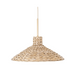 Varaluz 502P01 Hilton Head 1-lt 18" Pendant
