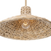 Varaluz 502P01 Hilton Head 1-lt 18" Pendant