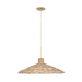 Varaluz 502P05 Hilton Head 5-lt 26" Pendant