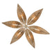 Varaluz 519C06 Century Palm 6-lt 38" Chandelier
