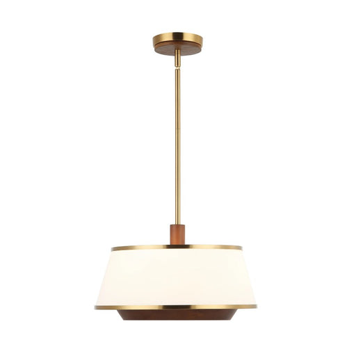 Varaluz 520P03 Desert Flyer 3-lt 16" Convertible Pendant/Semi-Flush