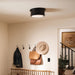 Kichler 52540 Serca 2-lt 14" Flush Mount