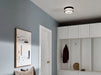 Kichler 52595 Brit 2-lt 12" Flush Mount