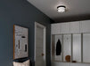 Kichler 52595 Brit 2-lt 12" Flush Mount