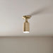 Kichler 52598 Sisu 1-lt 4" Semi Flush