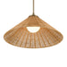 Kichler 52730 Bekah 1-lt 24" Pendant