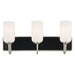 Kichler 55163 Solia 3-lt 24" Vanity Light-Brushed Nickel with Black