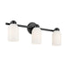 Kichler 55202 Shae 3-lt 24" Vanity Light - Black