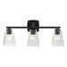 Kichler 55216 Marant 3-lt 24" Vanity Light - Black Clear Water