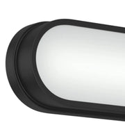Kichler 55246 Daines 1-lt 19" LED Vanity Light