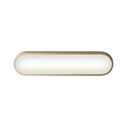 Kichler 55246 Daines 1-lt 19" LED Vanity Light - Champagne Bronze