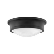 Hinkley 45123 Ellis 3-lt 14" LED Flush Mount - Black