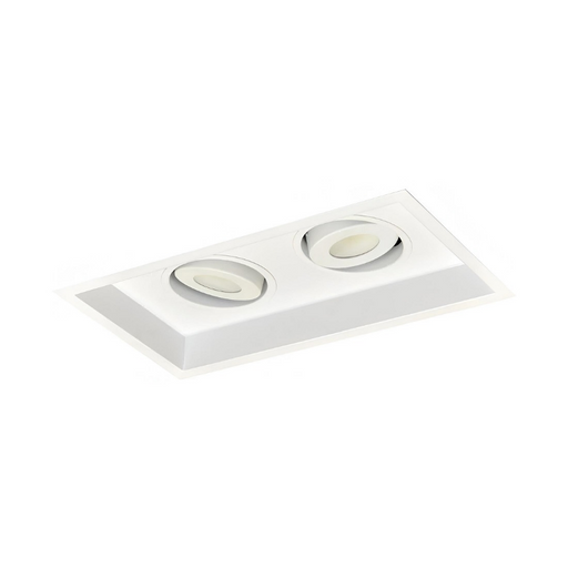 Nora NMRT2-12 2-Head Flanged Gimbal High Lumen LED MLS Trim, 2500lm per head - White/White