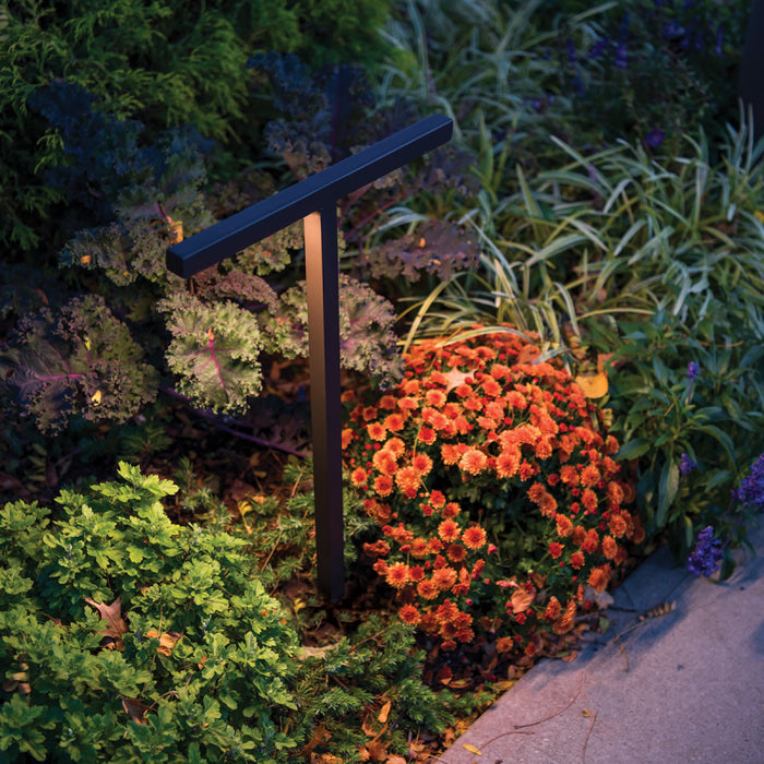 WAC 6071 Balance 24" Tall LED Double Path Light