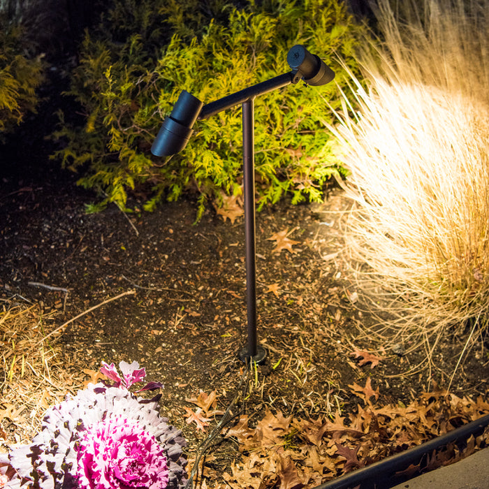WAC 6211 Mini Accent LED Double Path Light