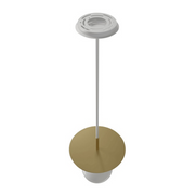 Avenue Lighting HF1951 Newport 1-lt 8" Pendant - Brushed Brass/White