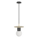 Avenue Lighting HF1951 Newport 1-lt 8" Pendant - Brushed Brass/Black