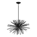 Avenue Lighting HF8201 Palisades Ave. 6-lt 24" Chandelier - Black