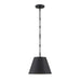 Savoy House 7-232-1 Alden 1-lt 12" Pendant-Matte Black