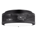 Sea Gull 7532003EN Vander 3-lt 12" LED Flush Mount
