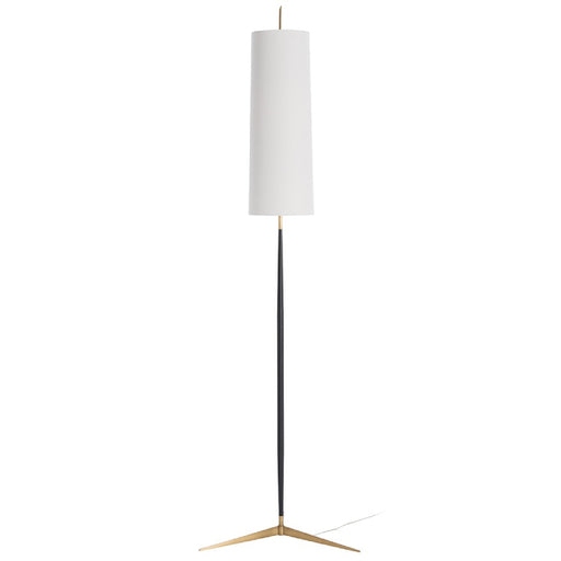 Arteriors 79048-905 Dunn 1-lt 86" Tall Floor Lamp