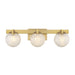 Savoy House 8-1017-3 Darien 3-lt 25" Bathroom Vanity Light - Warm Brass