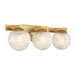 Savoy House 8-1017-3 Darien 3-lt 25" Bathroom Vanity Light